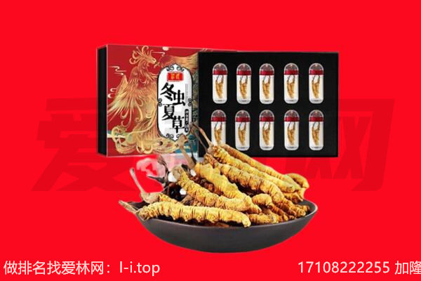 铁岭开原市回收虫草.jpg